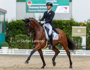 Thomas Schulze and Forever Valentine at the 2022 Bundeschampionate :: Photo © Stefan Lafrentz