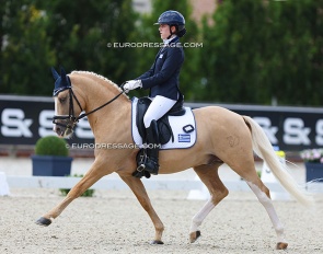 Dandy Lion at the 2024 European Pony Championships :: Photo © Astrid Appels