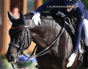 Dressage is a devotional practice