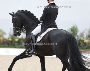 Justin Verboomen and Zonik Plus at the 2025 European Dressage Championships :: Photo © Astrid Appels