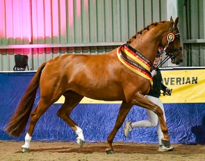 Catherston Zahara (by Zack x Breitling W x Laurentianer) :: Photo © Kevin Sparrow