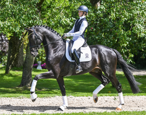 Jongleur (by Jameson x Samba Hit x Donnerhall)