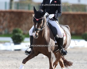 Rikke Maria Schoubye Johansen and D'Artagnan at the 2024 CDI Aachen Festival 4 Dressage :: Photo © Astrid Appels