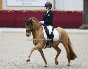 Lilli von Helldorff on Dobbi Dobsen at the 2024 CDI Kronenberg Indoor :: Photo © Astrid Appels