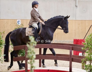 Fantastico branching out to Working Equitation, competing in the at the trail parcours at the Swiss Championships :: Photo © Silke Rottermann