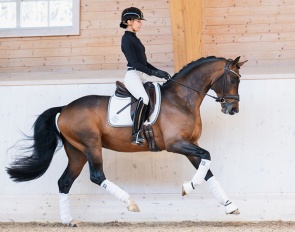 Caroline Darcourt on Devin Franco GJ :: Photo © Lovsta Stuteri