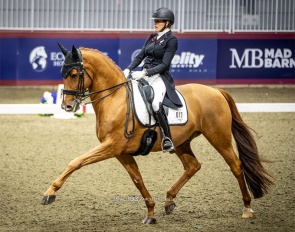 Brittany Fraser-Beaulieu and Jaccardo at the 2025 CDI-W Toronto :: Photo © Mackenzie Clark
