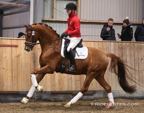 Test rider Allan Skov on Daan G at the 2025 DWB Stallion performance test :: Photo © Ridehesten