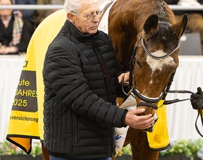 Dorina celebrated as Hanoverian Mare of the Year 2025 at the Hanoverian stallion licensing in Verden :: Photo © Hannoveraner Verband