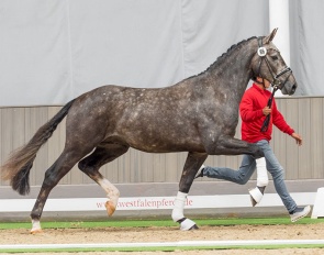 Be My Dancer x Belantis