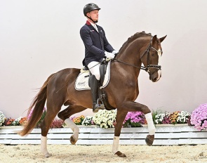 Catalog Nr. 5 Schufro de Iniesta (by Sezuan's Donnerhall x Don Gregory x Castro) :: Photo © OLD Art