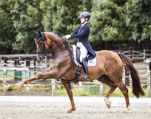 Beata Soderberg on her Grand Prix horse Talento :: Photo © Hana Muzikova