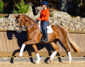 NorCordia's team member Catherine Haddad