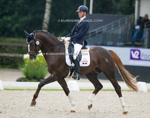 Tom Franckx and Quanto Curo van het Bloemenhof at the 2019 World Championships for young dressage horses :: Photo © Astrid Appels