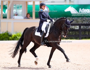 Stephanie Collomb and Stormy River at the 2022 Palm Beach Derby CDI :: Photo © Astrid Appels
