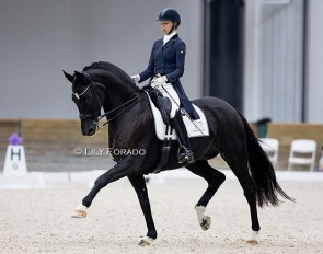 Laura Graves and SenSation at the 2023 CDI Ocala :: Photo © Lily Forado