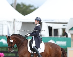 Amanda Perkowski and Sonata MF in the Developing GP Horse test at the 2024 CDN Wellington :: Photo © Astrid Appels