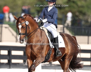 McKenzie Dicks on Hope Cooper's Flynn PCH at the 2025 CDN Wellington :: Photo © Astrid Appels