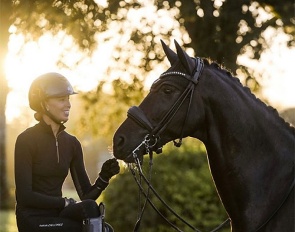 Show Chic, a premier equestrian lifestyle brand