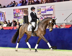 Dupont at the 2025 Oldenburg Special Edition auction