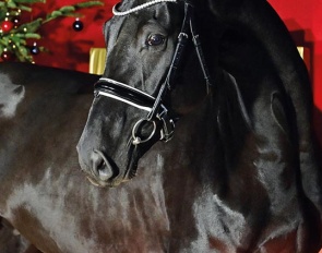 14th Oldenburg Special Edition