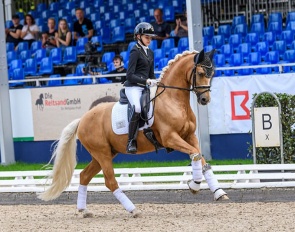 Dreamlike is a double Bundeschampionate finalist