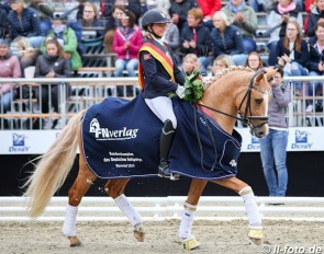DSP Gluckskeks at the 2019 Bundeschampionate :: Photo © LL-foto