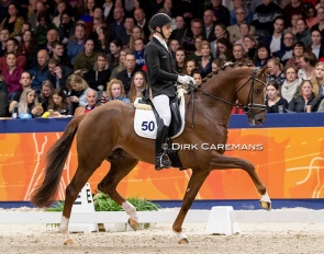 Ricardo Sanavio and King Karim at the 2019 KWPN Stallion Competition Finals :: Photo © Dirk Caremans