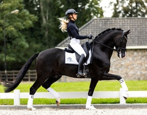 Kaiman under Dinja van Liere :: Photo © Equigeniek