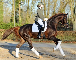 Svea Gross and Go For Romance PS in 2023 :: Photo © Annett Strohbehn