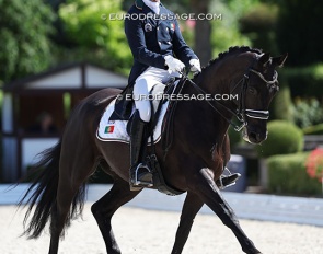 Tiago Ferreira and Diamo Dream at the 2025 European Young Riders Championships :: Photo © Astrid Appels