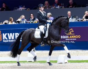 Alvaro Rodriquez Siscar and Secret USB at the 2025 KWPN Stallion Licensing :: Photo © Digishots