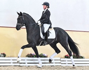 First Magic (2021, by For Romance x Desperado)