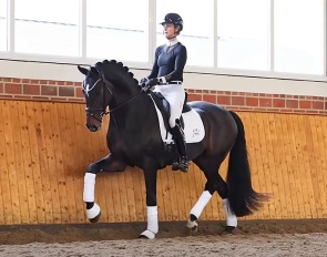 Carina Scholz and Fortunio