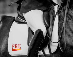 Photo © Lily Forado