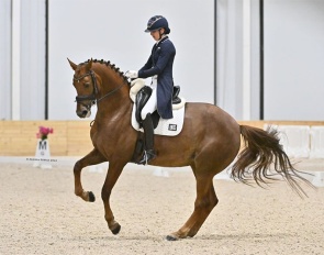 Nora Batchelder on Nova at the 2026 CDI Ocala :: Photos © Andrew Ryback