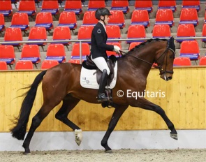 Santiago Damil and Valerian at the shortened suitability test in Vechta :: Photo © Equitaris