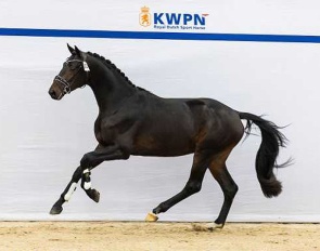 Thank You (by Total McLaren x Apache) 