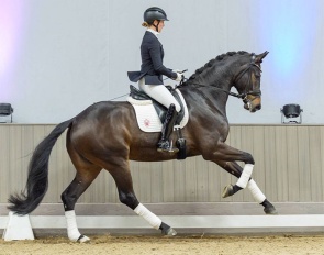 Dixieland Delight (by Dynamic Dream x Sandro Hit) :: Photo © Recki Media