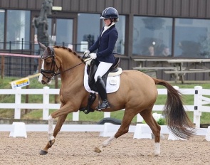 Daria LGD (by Cosmopolitan x Trendsetter)