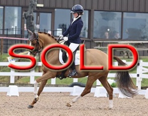 Sold within 10 days time !!