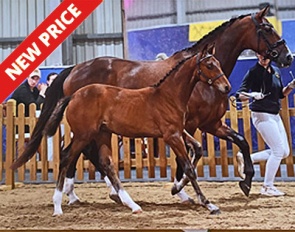 Irresistible (by Incredible x Timolin)