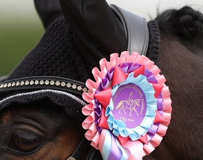 Wanted: FEI Dressage Pony with quality to make a team :: Photo © Astrid Appels