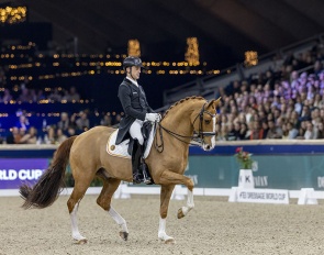 Justin Verboomen and Djembe de Hus at the 2025 CDI-W Mechelen :: Photo © Dirk Caremans