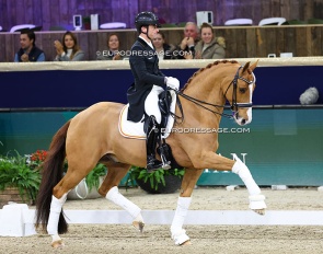 Justin Verboomen and Djembe de Hus at the 2025 CDI-W Mechelen :: Photo © Astrid Appels