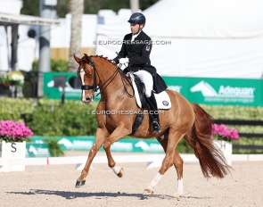 James Irwin and Flirtfaktor at the 2025 CDI Wellington :: Photo © Astrid Appels