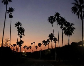 You can't beat those Wellington sunsets :: Photo © Astrid Appels