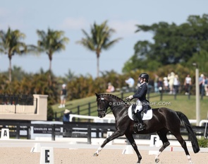 Photographing national dressage sport at the 2026 Global Dressage Festival in Wellington - Carpe Diem :: Photo © Astrid Appels