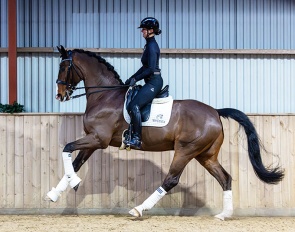 Bastardos (by Donkey Boy x Don Schufro)