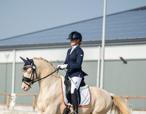 Cream de Luxe DV (by Cassanova du Bois x Veenstra’s Promise)